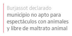 nt-LOS QUE NECESITAN APOYO11