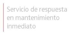 nt-ciudad4